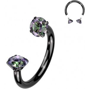 Piercing titanium horseshoe crammetje met steen zwart