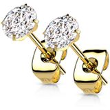 Oorbellen titanium prong wit gold plated 5mm