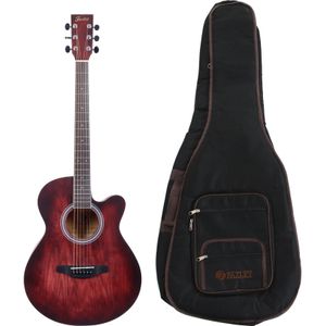 Fazley W55-COL-R ColourTune westerngitaar + gigbag