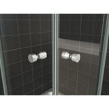 Douchecabine Wiesbaden Aktie Hoekinstap 100x100x190 cm 5mm Helder Glas