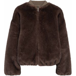 Studio AR by ARMA - Bomberjack - Bruin