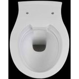Toiletpot Hangend Durance Randloos Diepspoel Exclusief Toiletbril