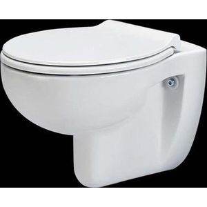 Toiletpot Hangend Durance Randloos Diepspoel Exclusief Toiletbril