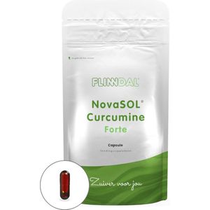 Curcumine Forte 90 capsules - 90 Capsules