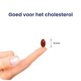 Flinndal Rode gist Rijst Capsules - Goed voor het Cholestrerol - 90 Capsules