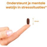 Flinndal - Nachtrust Forte - Tabletten - Hoog Gedoseerd - 30 Tabletten