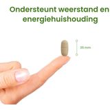 Multi 90 tabletten met herhaalgemak (Alle 13 vitaminen tot 100% van de ADH) - 90 Tabletten - Flinndal