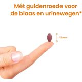 Flinndal Cranberry Tabletten - Met Guldenroede - Voor Blaas en Urinewegen - 90 Tabletten