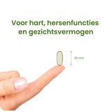 Flinndal Omega 3 Forte Capsules - Hoog Geconcentreerd Visolie Suppplement - 30 Capsules