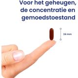 Flinndal - Mentaal Fit - Weerstandverhoger - 40 mg 5-HTP