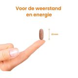 Flinndal Multi Kauwtablet - Multivitamine met Kersensmaak - 30 Stuks