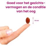 Flinndal Omega 3 Oog Capsules - Goed voor Gezichtsvermogen en Conditie van Oog - 30 Capsules