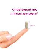 Flinndal - Echinacea - Weerstandverhoger - 400 mg per Tablet