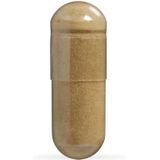 Groene Thee Extract 90 capsules met herhaalgemak (Ondersteunt de vetverbranding*, 500 mg capsule) - 90 Capsules - Flinndal