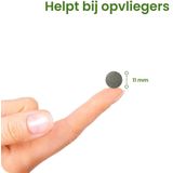 Flinndal Salie Extract Tabletten - Helpt bij Opvliegers - 90 Tabletten