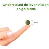 Chlorella - Supplement - Groen - Poeder
