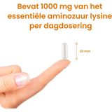 L-Lysine - Capsules - 100% Zuiver - Biologisch Verkrijgbaar