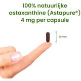 Astaxanthine Complex 90 capsules (100% natuurlijke astaxanthine (Astapure®) - Ter bescherming van gezonde cellen en weefsels) - 90 Capsules - Flinndal