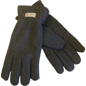 Handschoenen heren winter Thinsulate fleece