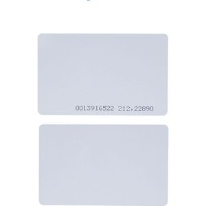 IP68 Waterdichte Rfid Access Controller WG26 125Khz Toegangscontrole Toetsenbord Outdoor Regendicht 10Pcs Key Kaarten Voor Deurslot systeem