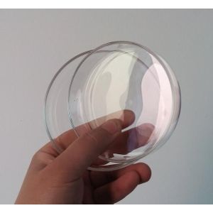 10 stuks 75mm glazen petrischaal met deksel, cultuur schotel, lab glaswerk