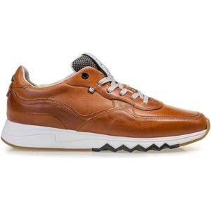 Floris van Bommel sneakers cognac effen leer