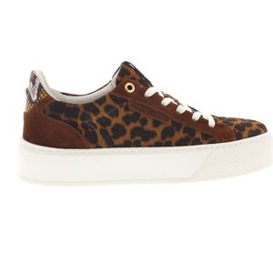 Floris van Bommel SFW-10106 Sneakers