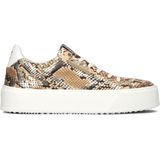 Dames Sneakers Floris Van Bommel Winni 01 Sport Cognac