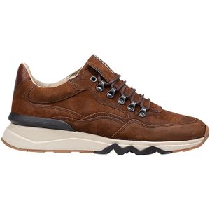 Floris van Bommel Sneakers SFM-10135 Cognac