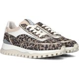 Floris Van Bommel Sfw 10131 Sneakers Leer Dames Taupe