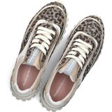 Floris Van Bommel Sfw 10131 Sneakers Leer Dames Taupe