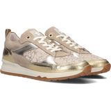Floris Van Bommel - SFW-10132 Sneakers - Goud - Suède