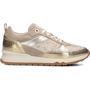 Floris Van Bommel - SFW-10132 Sneakers - Goud - Suède