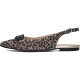 Floris van Bommel - Sfw-40050 - Pumps - Bruin - Luipaardprint