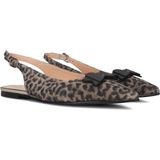 Floris van Bommel - Sfw-40050 - Pumps - Bruin - Luipaardprint