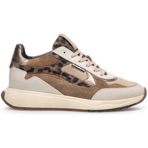 Floris van Bommel - Suvi SFW-10159 - Lage Sneaker - Taupe