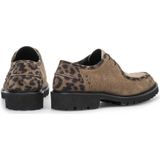 Floris van Bommel - Selsi 04 - Veterschoen - Beige / Donkerbruin / Taupe