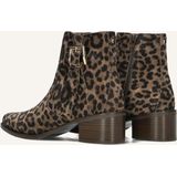 Floris Van Bommel - SFW-50065 EVI - Enkellaarsjes - Bruin