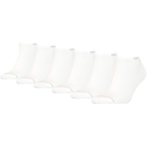 Calvin Klein - Sneaker - Wit