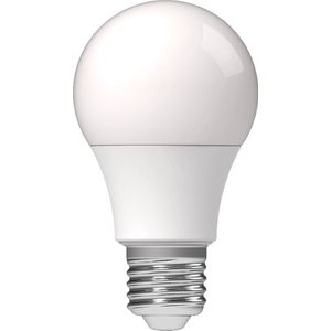 Proventa Longlife Ledlamp met grote E27 fitting - ⌀ 60 mm - 1 x LED A60 lamp