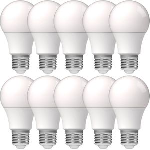 Proventa LongLife LED Lampen met grote E27 fitting - Voordeelverpakking - 10 x LED lamp