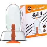 Dinoo - Primal Desires Extra Grote Dildo Met Zuignap Bracho - Transparant
