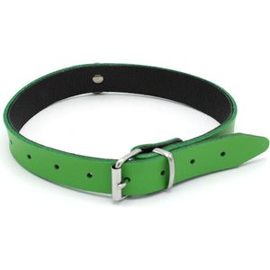 Kiotos Leather - Collar met Kleine O-ring - Leder - Groen