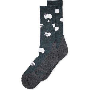 Alfredo Gonzales - AG-SK-Hike-02 - Wandelsok - Petrol/White/Grey - Merinowol