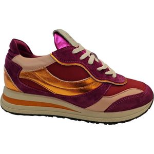 Solidus Hyle Fuchsia Sneaker H-leest