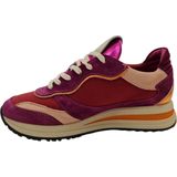 Twinset Milano - 241tcp080 - Lage Sneakers - Multi - Leren