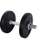 Viking Sports halterschijf gewichten set 20 kg - 26 mm diameter - 2x 10 kg