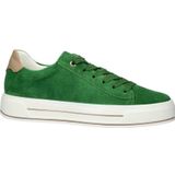 Ara Canberra suède sneakers groen