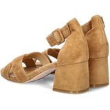 Nelson - Dames Sandaal - Suède - Met Gesp - Comfortabele Hak