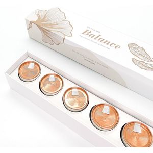 Thee cadeau - Tea Taste Box Balance - Thee cadeau - 6 smaken losse thee